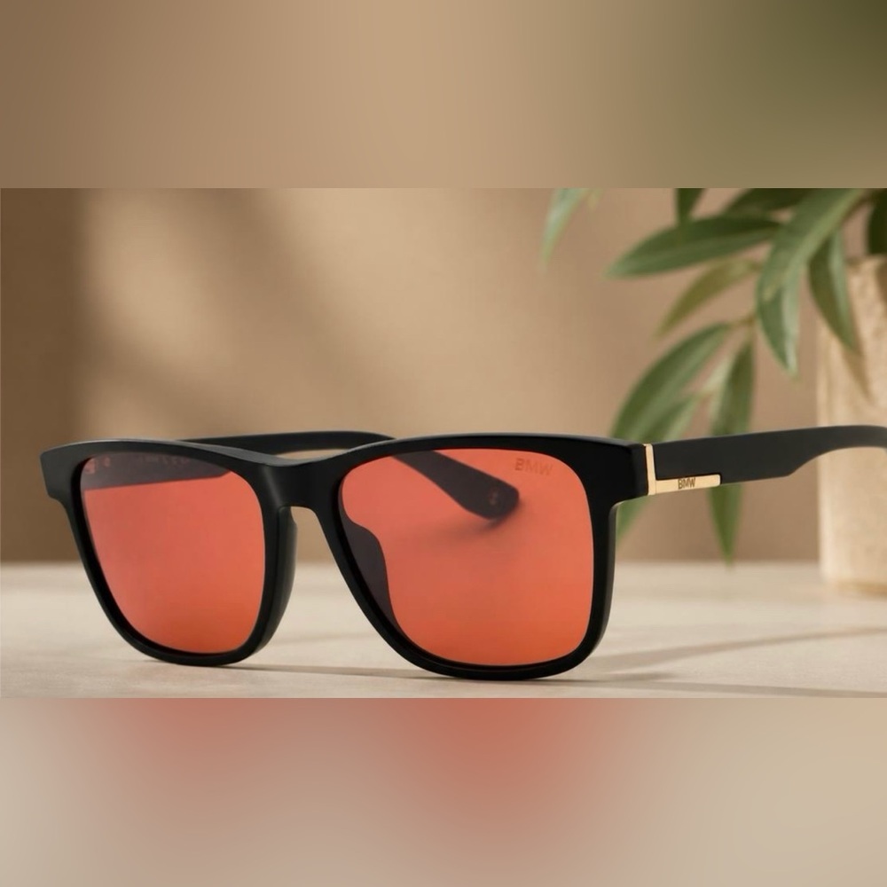 BMW Black Frame Sunglasses (NWT)